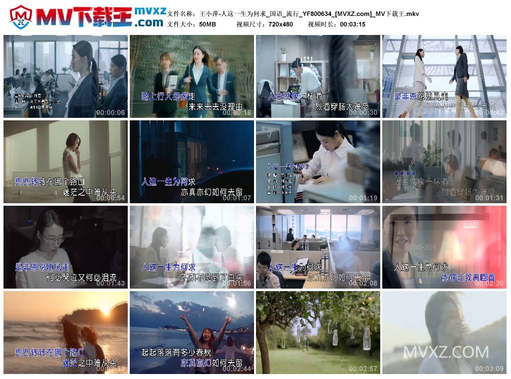 王小萍-人这一生为何求_国语_流行_YF800634